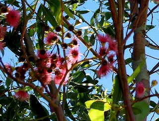 e0098241_8203719.jpg