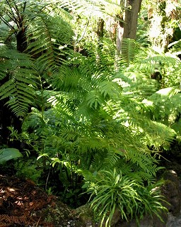 e0098241_8234329.jpg