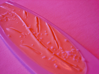 f0134642_21545615.gif