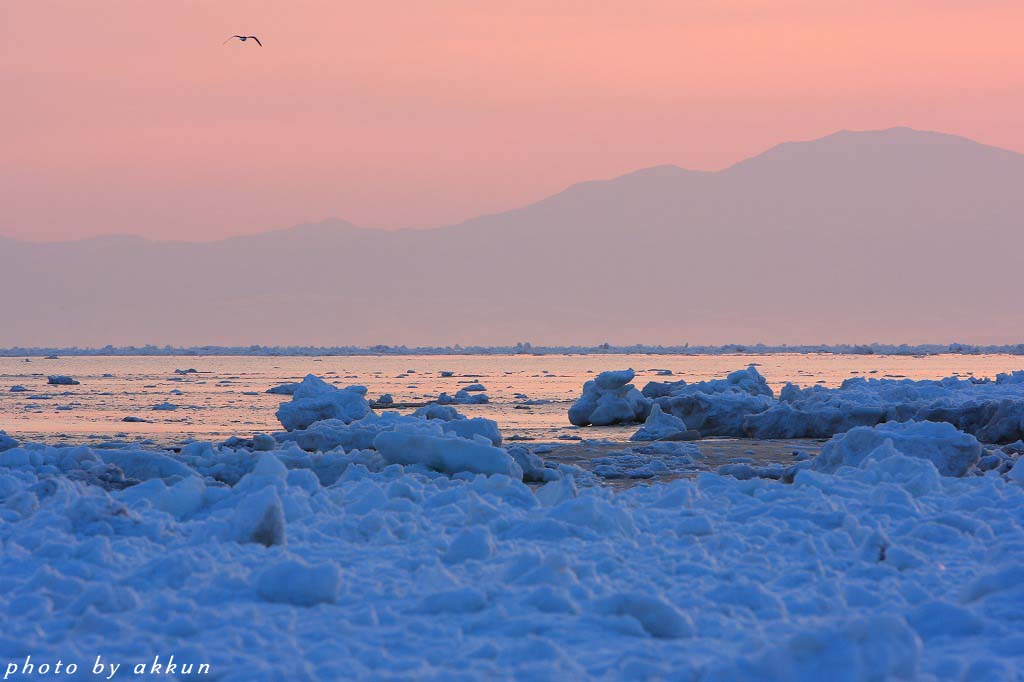 流氷と朝陽より～_a0039860_10544694.jpg