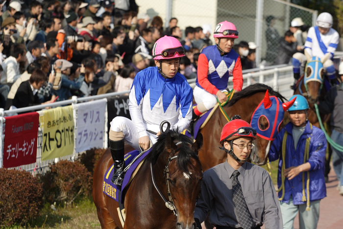 2007年3月21日（水） 高知競馬 第10回 黒船賞ＧIII レース前半_a0077663_19353662.jpg