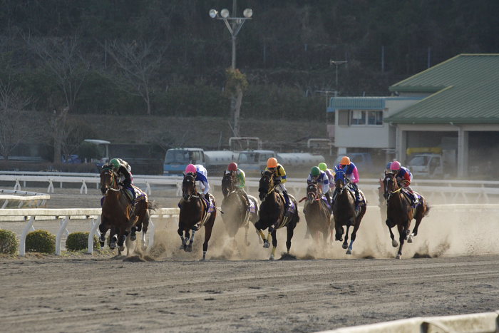 2007年3月21日（水） 高知競馬 第10回 黒船賞ＧIII レース前半_a0077663_19434194.jpg