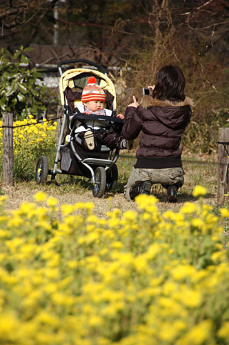 春、公園へ行こう！_a0008874_047522.jpg