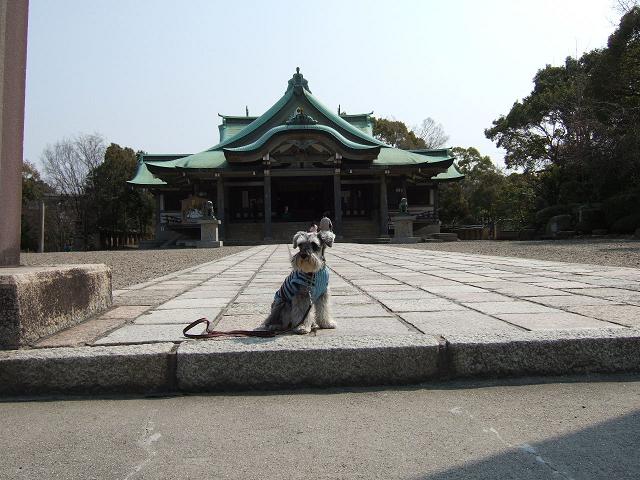 e0009283_11493650.jpg