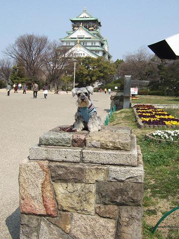 e0009283_1149672.jpg