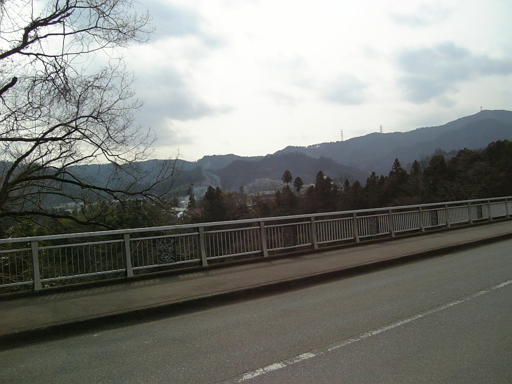 神代橋　吉野梅郷_a0078986_11105613.jpg