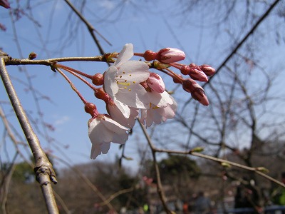 b0018986_2274297.jpg
