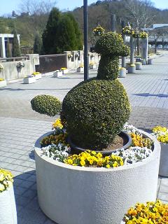 宇治市植物公園へドライブ_c0046587_22213690.jpg