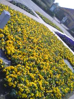c0064191_14461090.jpg