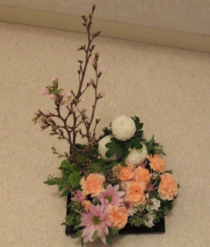 e0050801_0441413.gif