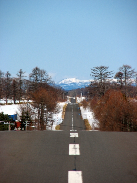 f0020302_22503.jpg