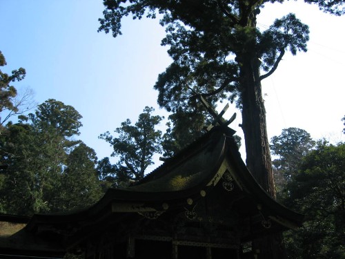 c0058606_005918.jpg