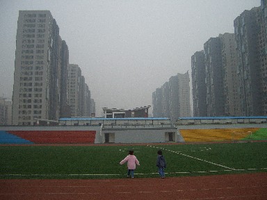 b0099220_13304319.jpg