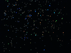 e0005548_0165084.gif