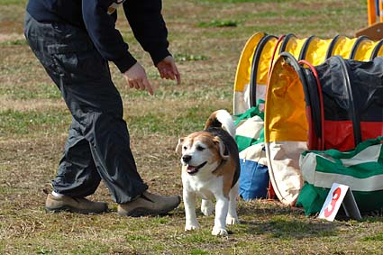 トコトコ迷いながら完走_a0070350_10214194.jpg