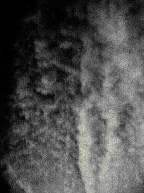 フリーズ_f0041351_740860.gif