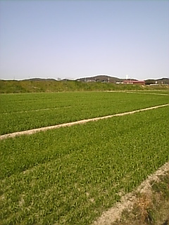 c0069552_13141228.jpg