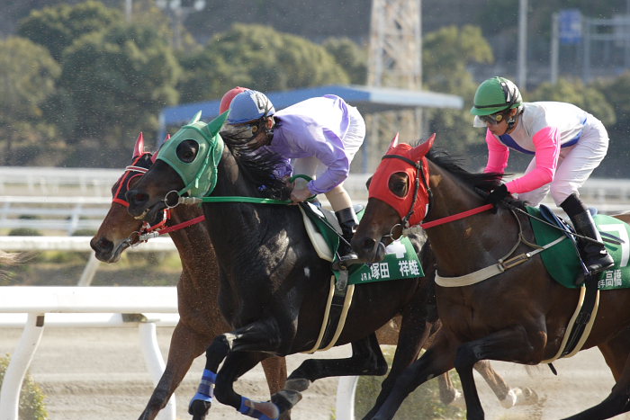2007年3月21日(水) 高知競馬 第21回 全日本新人王争覇戦 レース後半_a0077663_20222356.jpg