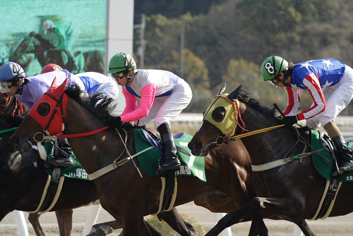 2007年3月21日(水) 高知競馬 第21回 全日本新人王争覇戦 レース後半_a0077663_20223667.jpg