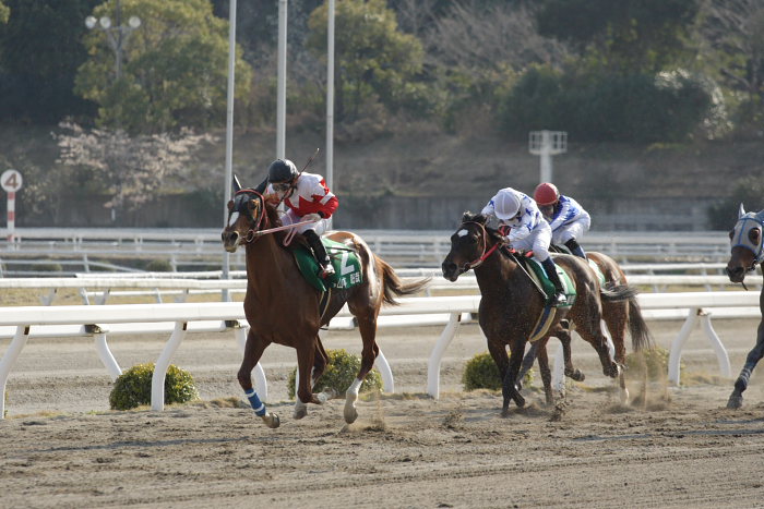 2007年3月21日(水) 高知競馬 第21回 全日本新人王争覇戦 レース後半_a0077663_20232373.jpg