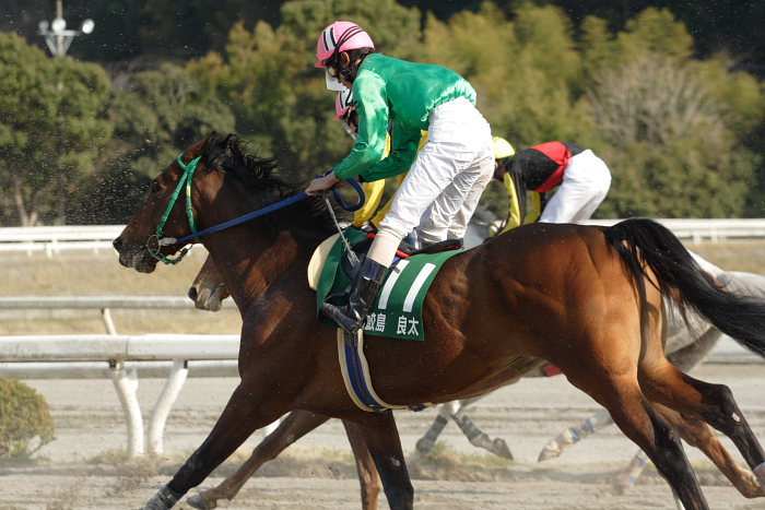 2007年3月21日(水) 高知競馬 第21回 全日本新人王争覇戦 レース後半_a0077663_20235594.jpg