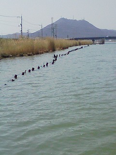 岡山県　七区貯水池　_f0002573_051510.jpg