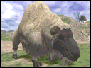f0057475_1671372.gif