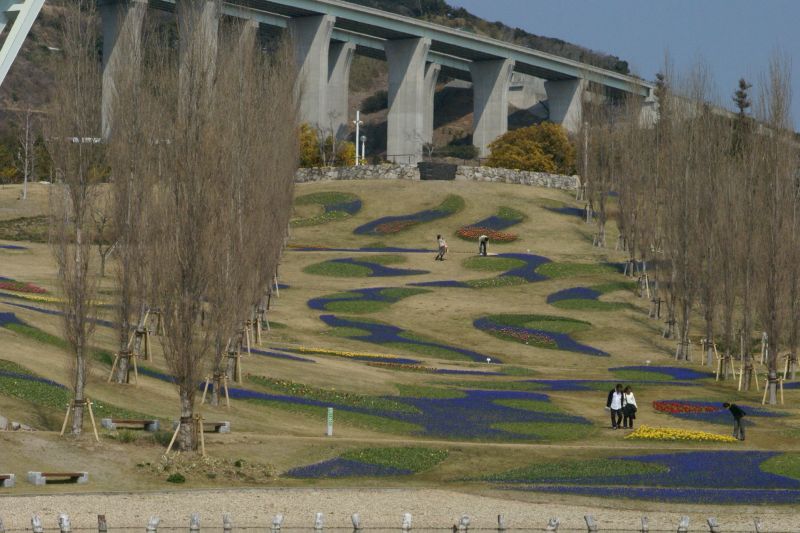 淡路島にいってきました　－一面のお花畑ー_d0079278_21285092.jpg