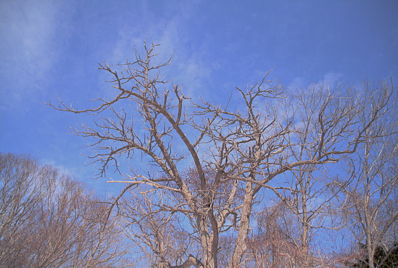 c0112479_691884.jpg