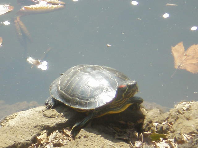 f0007580_22584693.jpg