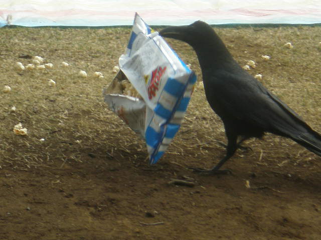 f0007580_22592990.jpg