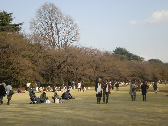 f0007580_236528.jpg