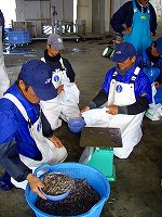 c0033992_18234944.jpg