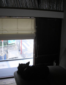 e0055098_14114345.jpg