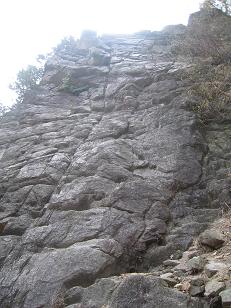 b0055805_0245521.jpg