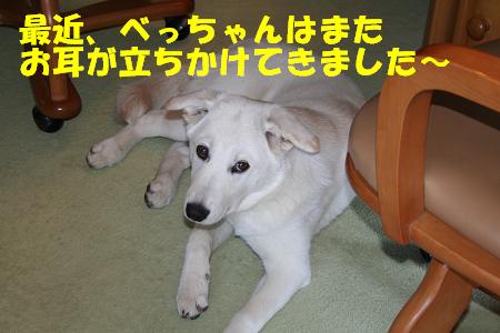 f0121712_16461828.jpg