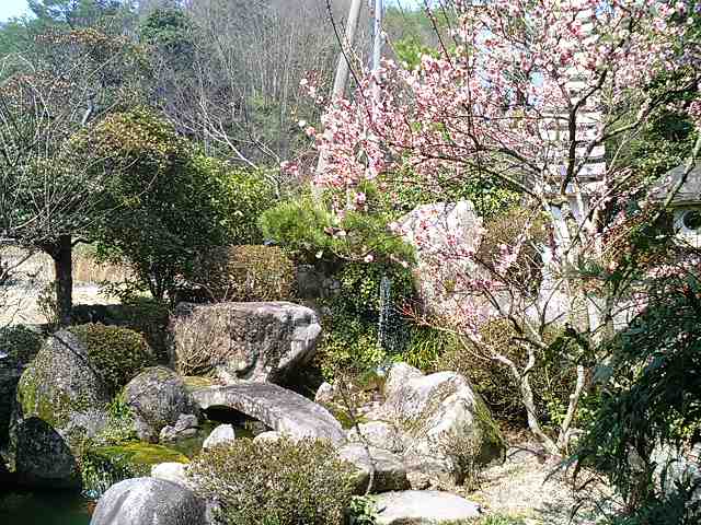 d0000919_1251427.jpg