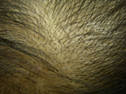 e0008833_10362477.jpg