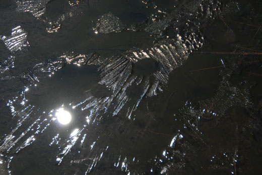 c0093046_7192920.jpg