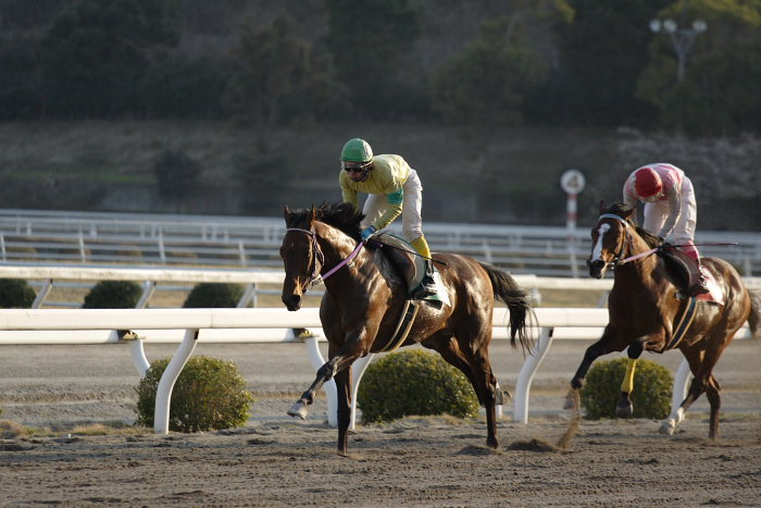 緒方洋介騎手、通算勝利300勝を達成！！_a0077663_18201371.jpg