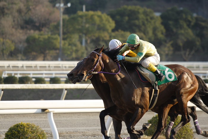 緒方洋介騎手、通算勝利300勝を達成！！_a0077663_18203986.jpg