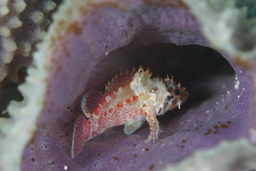 d0056263_00175.jpg