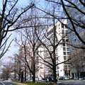 d0083265_16101228.jpg