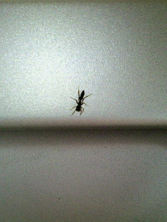 会社で_b0083267_0402380.jpg