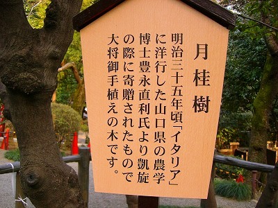 c0078480_16561612.jpg