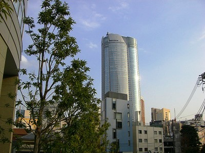c0078480_21582641.jpg