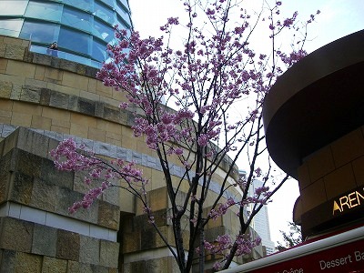 c0078480_22544947.jpg