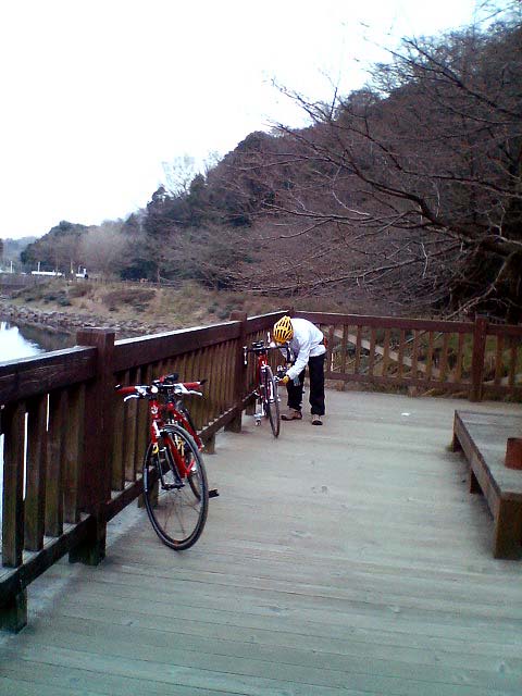 e0034994_254290.jpg