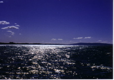f0097397_11341988.jpg