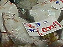 e0028505_1825546.jpg